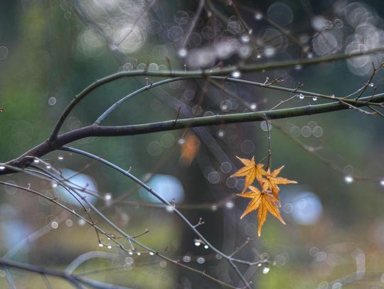 Pogoda na środę. Sprawdź, jaka będzie aura