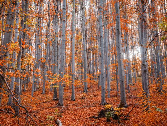 Pogoda na środę. Sprawdź, jaka będzie aura