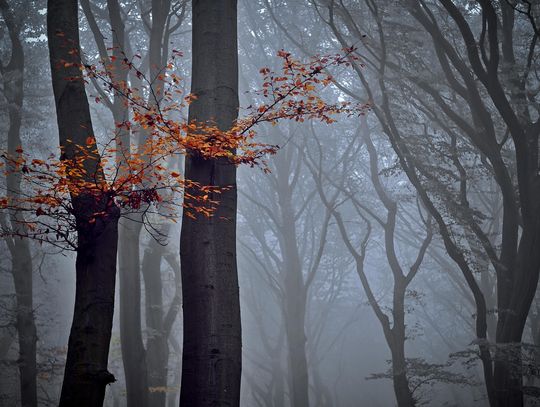 Pogoda na środę. Sprawdź, jaka będzie aura