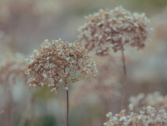 Pogoda na środę. Sprawdź, jaka będzie aura Pogoda na środę. Sprawdź, jaka będzie aura