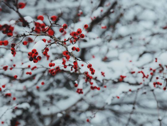 Pogoda na środę. Sprawdź, jaka będzie aura Pogoda na środę. Sprawdź, jaka będzie aura