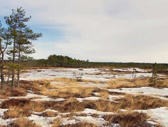 Pogoda na środę. Sprawdź, jaka będzie aura Pogoda na środę. Sprawdź, jaka będzie aura
