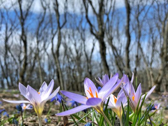 Pogoda na środę. Sprawdź, jaka będzie aura
