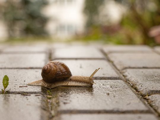 Pogoda na środę. Sprawdź, jaka będzie aura
