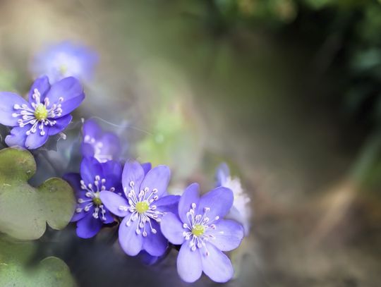 Pogoda na środę. Sprawdź, jaka będzie aura
