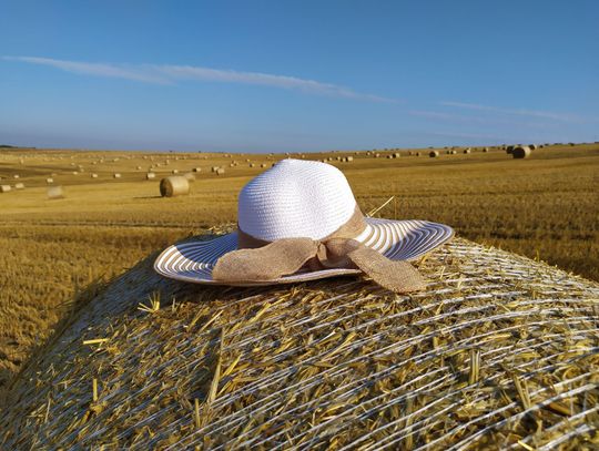 Pogoda na środę. Sprawdź, jaka będzie aura