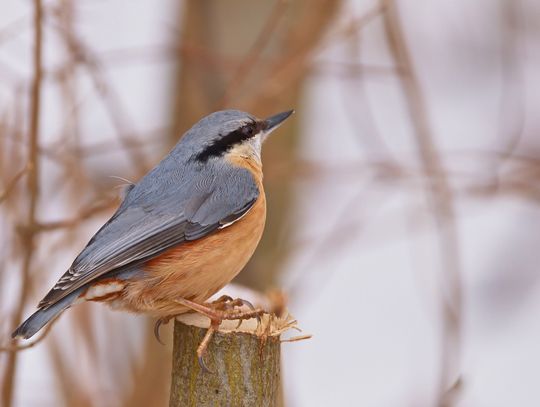 Pogoda na weekend. Sprawdź, jaka aura nas czeka