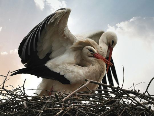 Pogoda na weekend. Sprawdź, jaka aura nas czeka