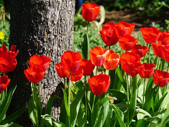 Pogoda na weekend. Sprawdź, jaka aura nas czeka
