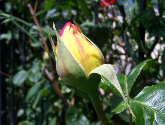 Pogoda na weekend. Sprawdź, jaka będzie aura