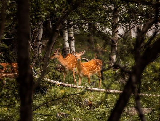 Pogoda na weekend. Sprawdź, jaka będzie aura