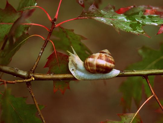Pogoda na weekend. Sprawdź, jaka będzie aura