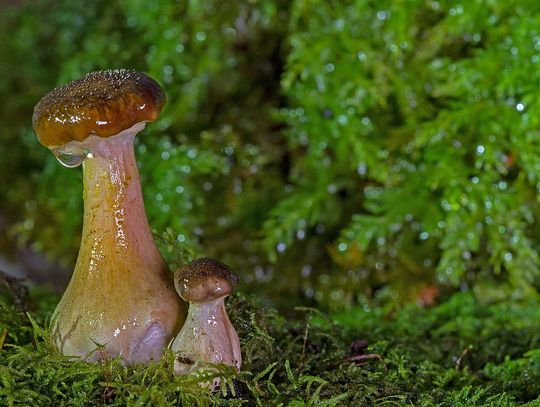 Pogoda na weekend. Sprawdź, jaka będzie aura