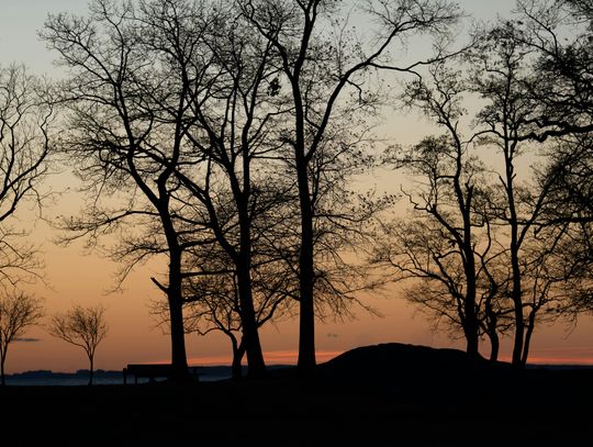 pogoda drzewa zachód listopad pogoda