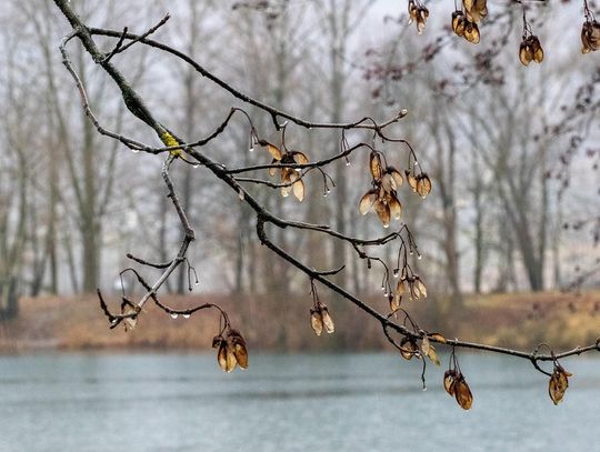 Pogoda na weekend. Sprawdź, jaka będzie aura deszcz pogoda zima