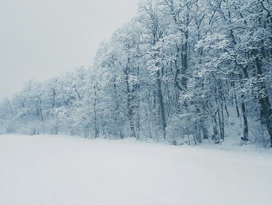 Pogoda na weekend. Sprawdź, jaka będzie aura Pogoda na weekend. Sprawdź, jaka będzie aura