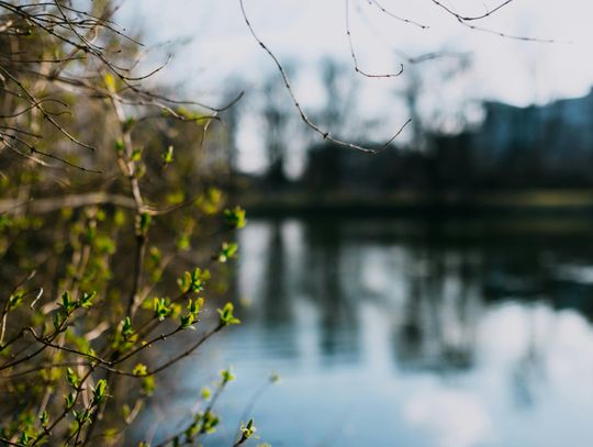 Pogoda na weekend. Sprawdź, jaka będzie aura Pogoda na weekend. Sprawdź, jaka będzie aura