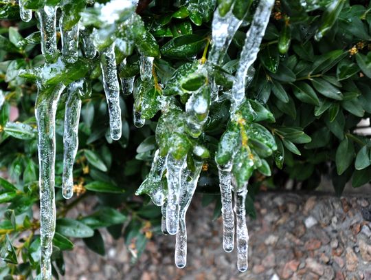 Pogoda na weekend. Sprawdź, jaka będzie aura