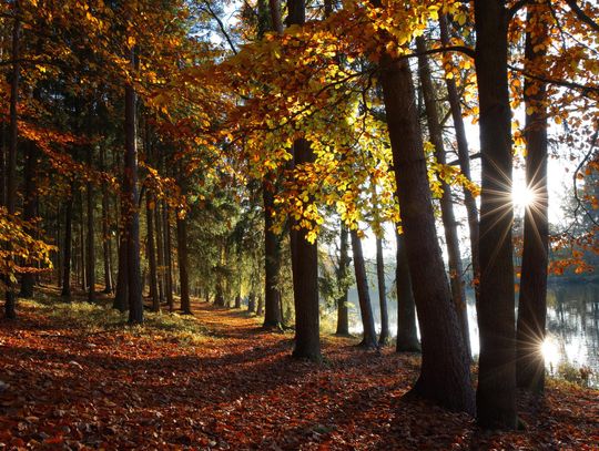 Pogoda na weekend. Sprawdź, jaka będzie aura