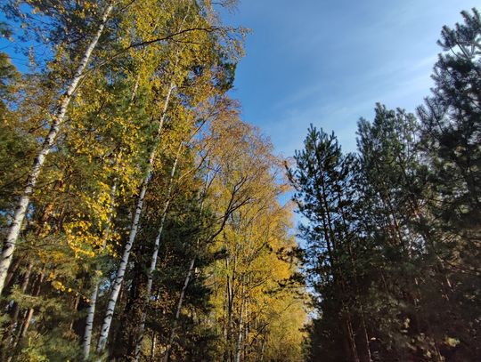 Pogoda na weekend. Sprawdź, jaka będzie sobota i niedziela