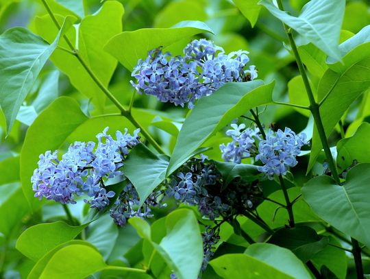 Pogoda na weekend. Sprawdź, jaka będzie aura