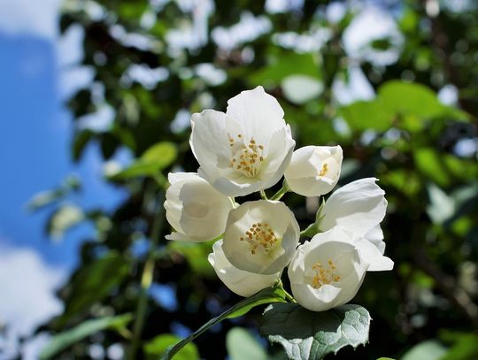 Pogoda na wtorek 17 czerwca. Sprawdź jaka czeka nas aura