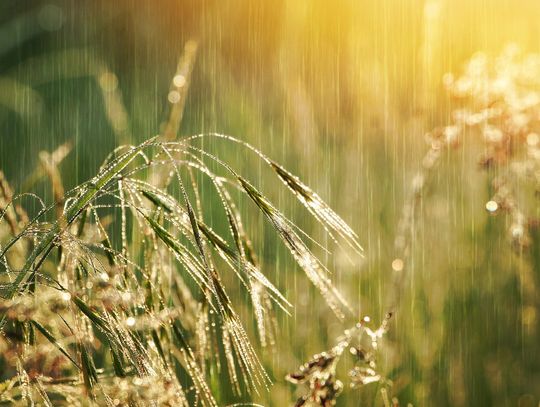 Pogoda na wtorek. Bez burz, ale z deszczem