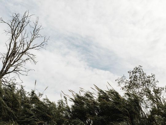Pogoda na wtorek. Chłodno, z przelotnymi opadami