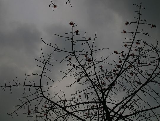 Pogoda na wtorek. Sprawdź, jaka aura nas czeka