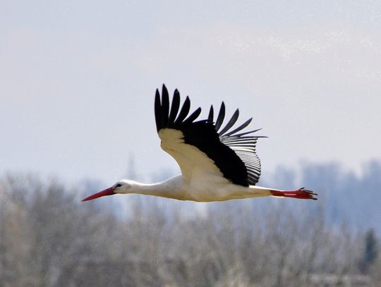 Pogoda na wtorek. Sprawdź, jaka aura nas czeka