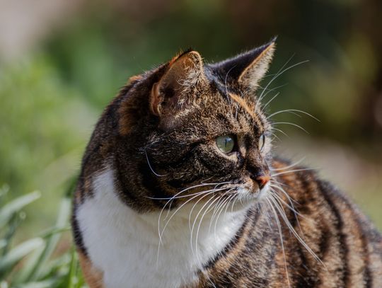 Pogoda na wtorek. Sprawdź, jaka aura nas czeka