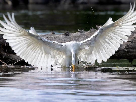 Pogoda na wtorek. Sprawdź, jaka aura nas czeka