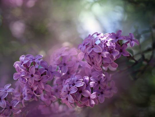 Pogoda na wtorek. Sprawdź, jaka aura nas czeka