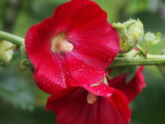 Pogoda na wtorek. Sprawdź, jaka aura nas czeka