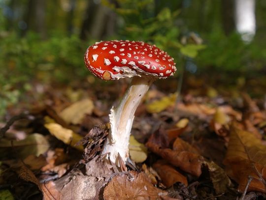 Pogoda na wtorek. Sprawdź, jaka aura nas czeka