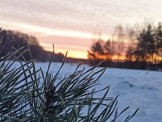 Pogoda na wtorek. Sprawdź, jaka aura nas czeka