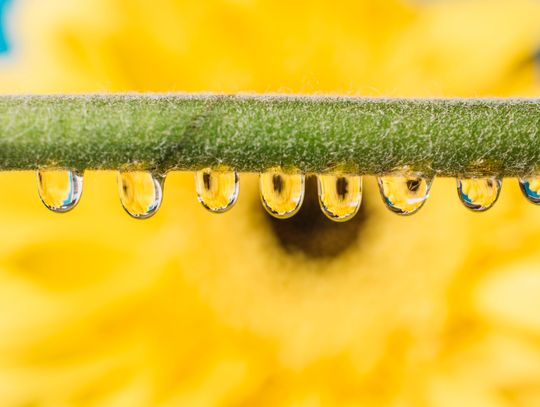 Pogoda na wtorek. Sprawdź, jaka będzie aura