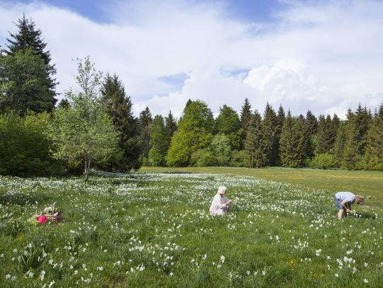 Pogoda na wtorek. Sprawdź, jaka będzie aura