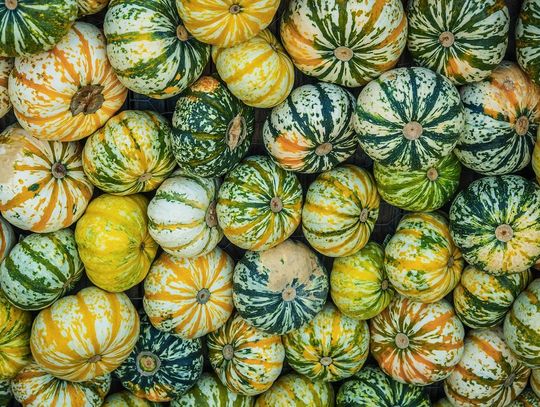 Pogoda na wtorek. Sprawdź, jaka będzie aura