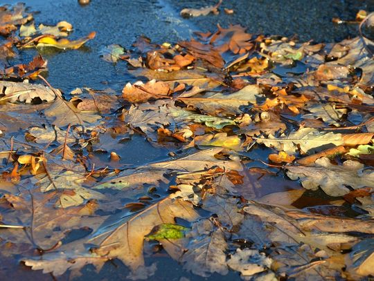 Pogoda na wtorek. Sprawdź, jaka będzie aura