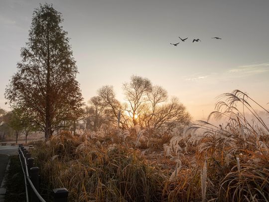 Pogoda na wtorek. Sprawdź, jaka będzie aura