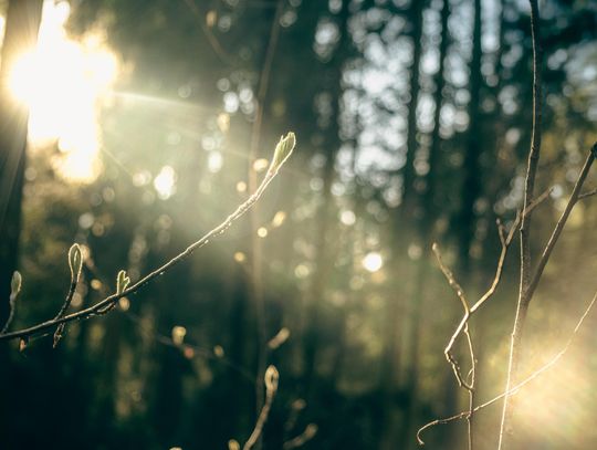 Pogoda na wtorek. Sprawdź, jaka będzie aura Pogoda na wtorek. Sprawdź, jaka będzie aura