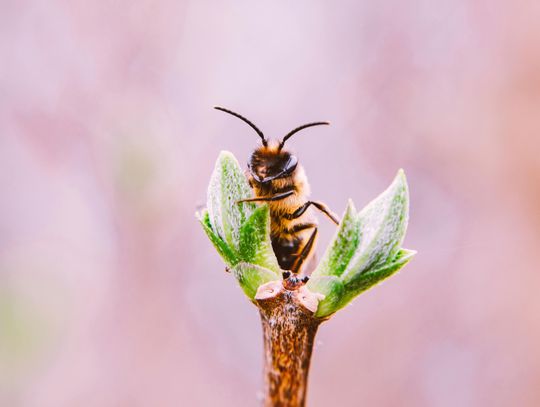 Pogoda na wtorek. Sprawdź, jaka będzie aura