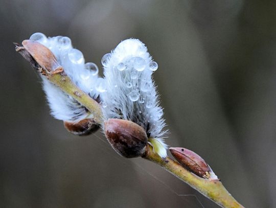 Pogoda na wtorek. Sprawdź, jaka będzie aura Pogoda na wtorek. Sprawdź, jaka będzie aura