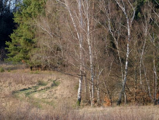Pogoda na wtorek. Sprawdź, jaka będzie aura