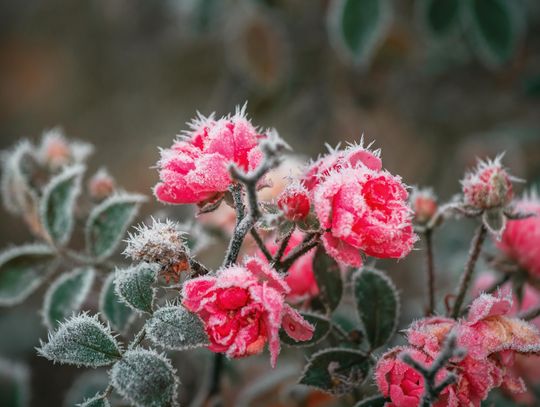 Pogoda na wtorek. Sprawdź, jaka będzie aura