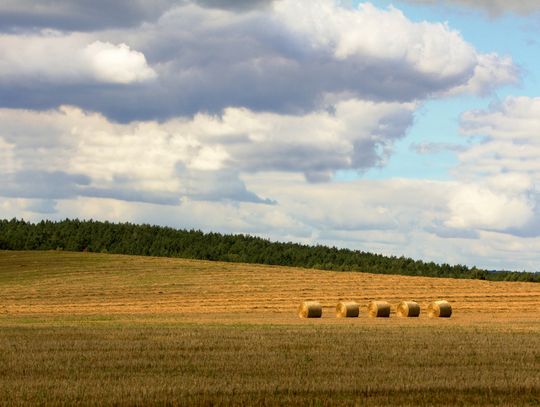 Pogoda na wtorek. Sprawdź, jaka będzie aura