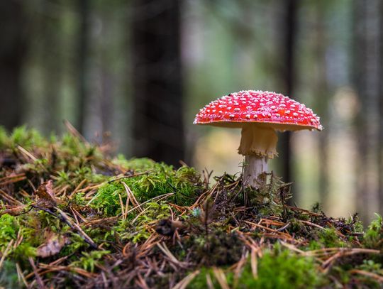 Pogoda na wtorek. Sprawdź, jaka będzie aura