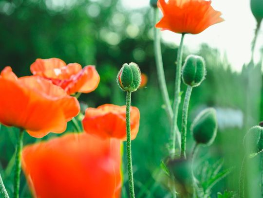 Pogoda na wtorek. Sprawdź, jaka będzie jutro aura