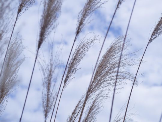 Pogoda na wtorek. Wiatr nieco osłabnie